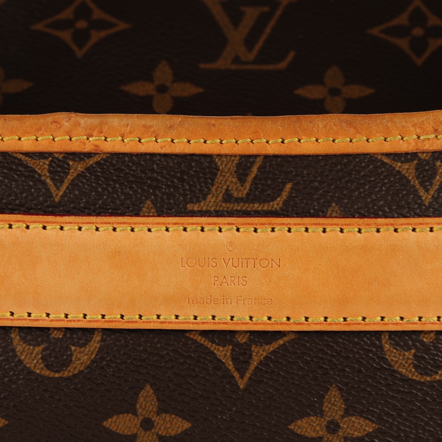 Louis Vuitton Monogram Sac Chien 40 Pet Carrier 10 of 14