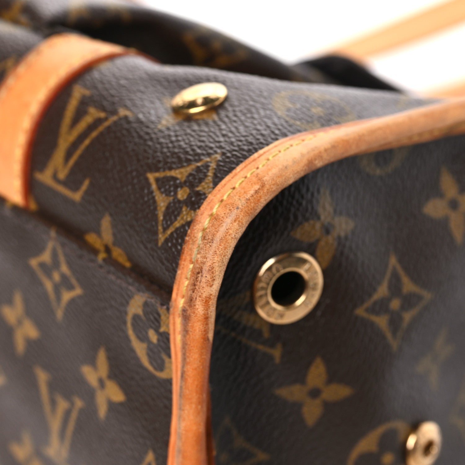 Louis Vuitton Monogram Sac Baxter PM Dog Pet Carrier 1822203