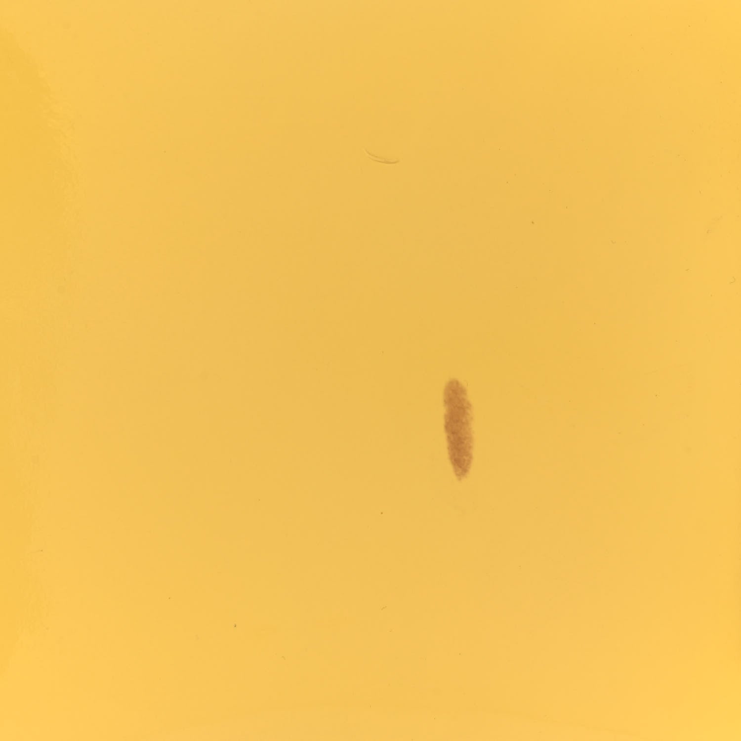 Louis Vuitton Vernis Alma MM Citrine 13 of 14