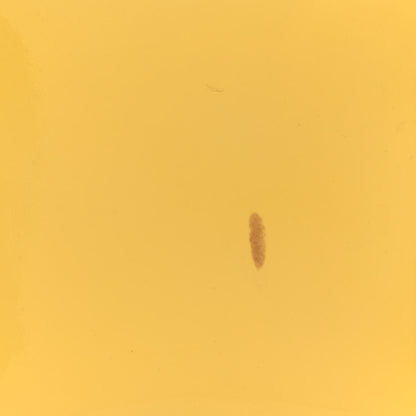 Louis Vuitton Vernis Alma MM Citrine 13 of 14