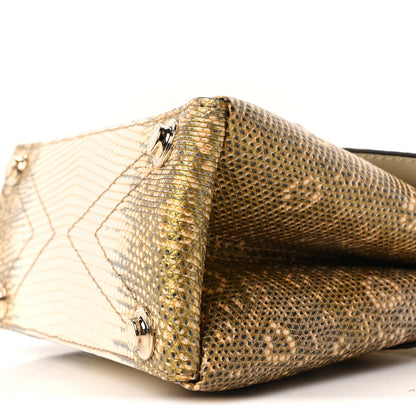 Louis Vuitton Lizard Ombre Rose Des Vents Mini Natural 9 of 10