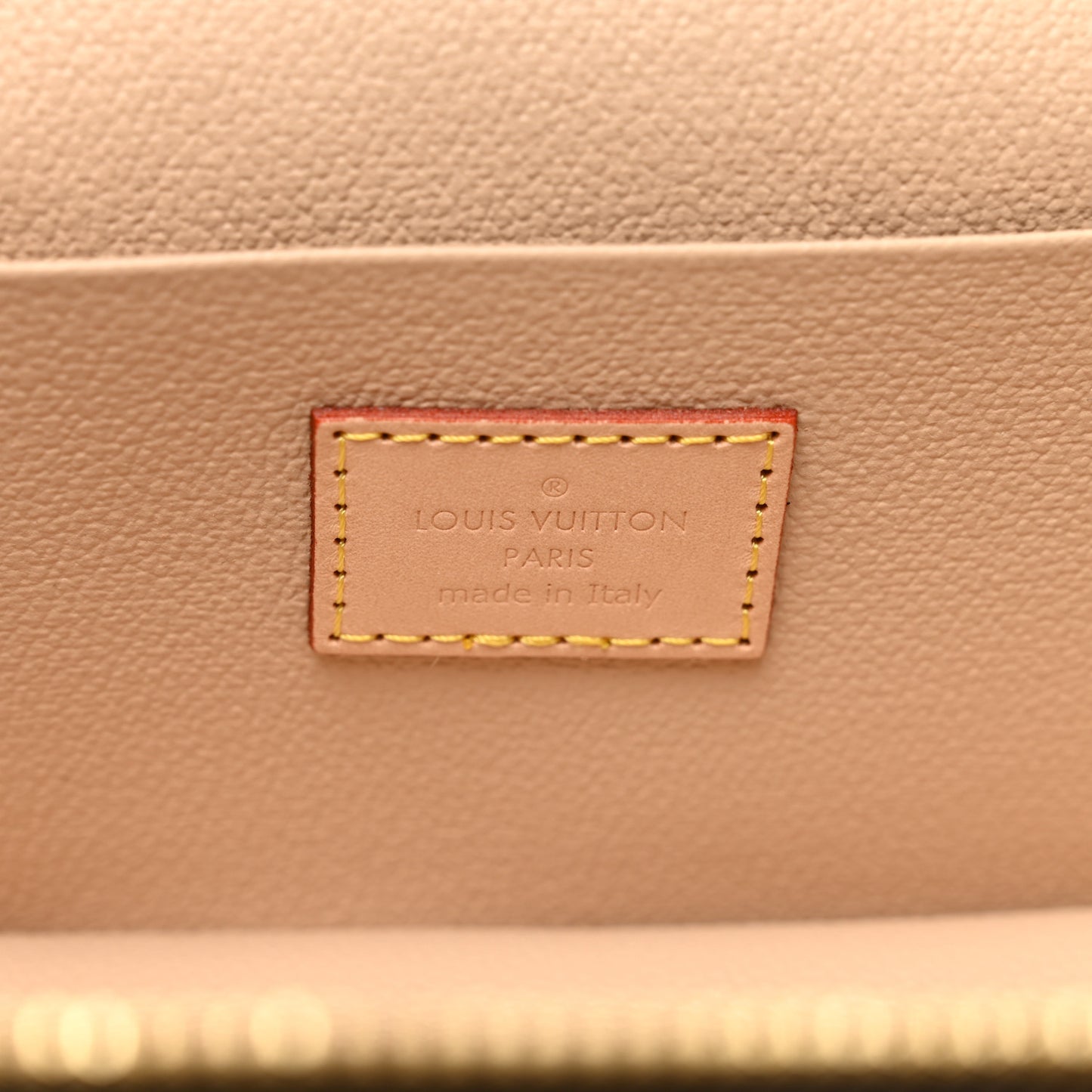 Monogram Nice Mini