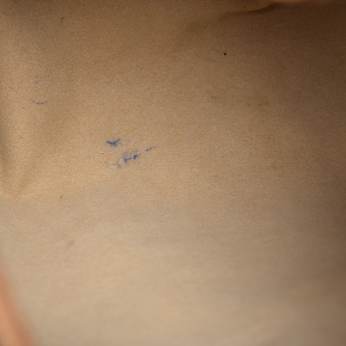 Monogram Galliera PM