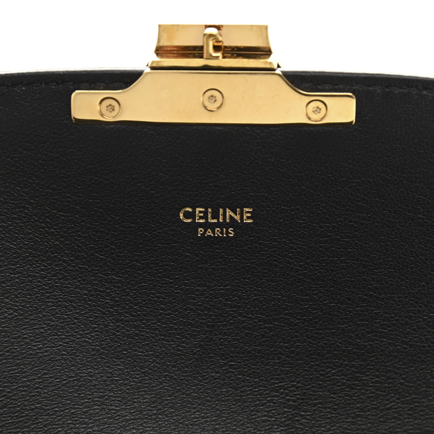 Canvas Calfskin Triomphe Embroidered Medium Triomphe Bag Black