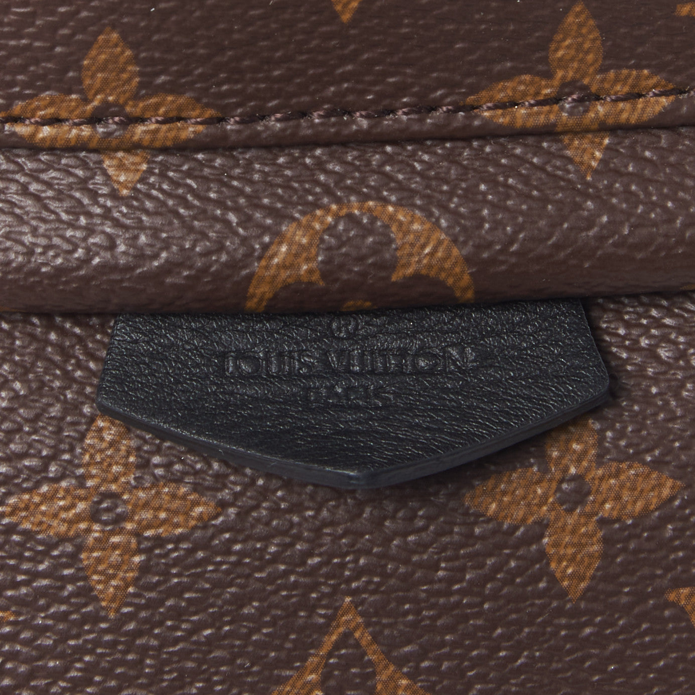 Monogram Palm Springs Backpack PM