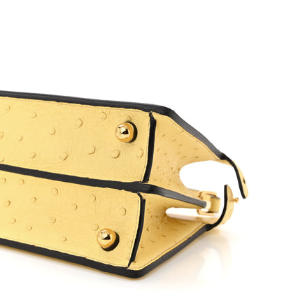 Fendi Ostrich Shiny Nappa Petite Peekaboo I SEE U Satchel Grano 9 of 9