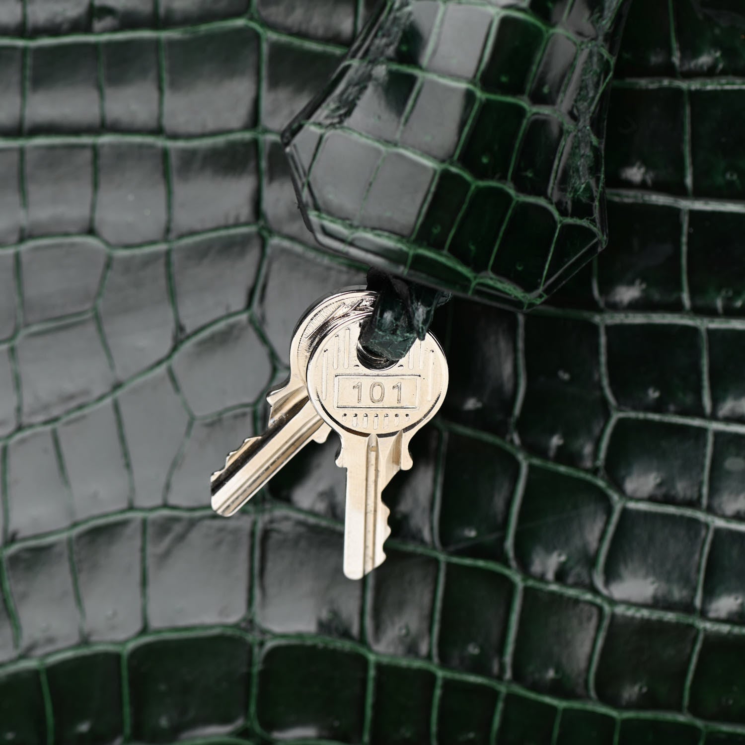 Hermes Shiny Niloticus Crocodile Birkin 25 Vert Fonce 30 of 32