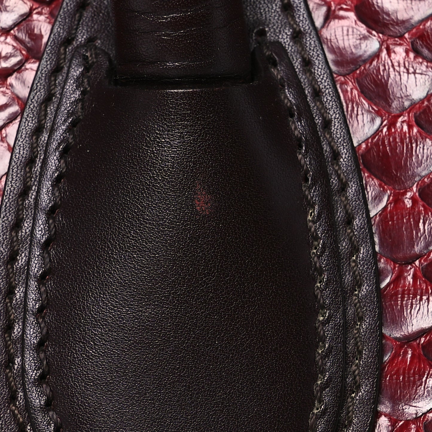 Snakeskin Mini Luggage Red