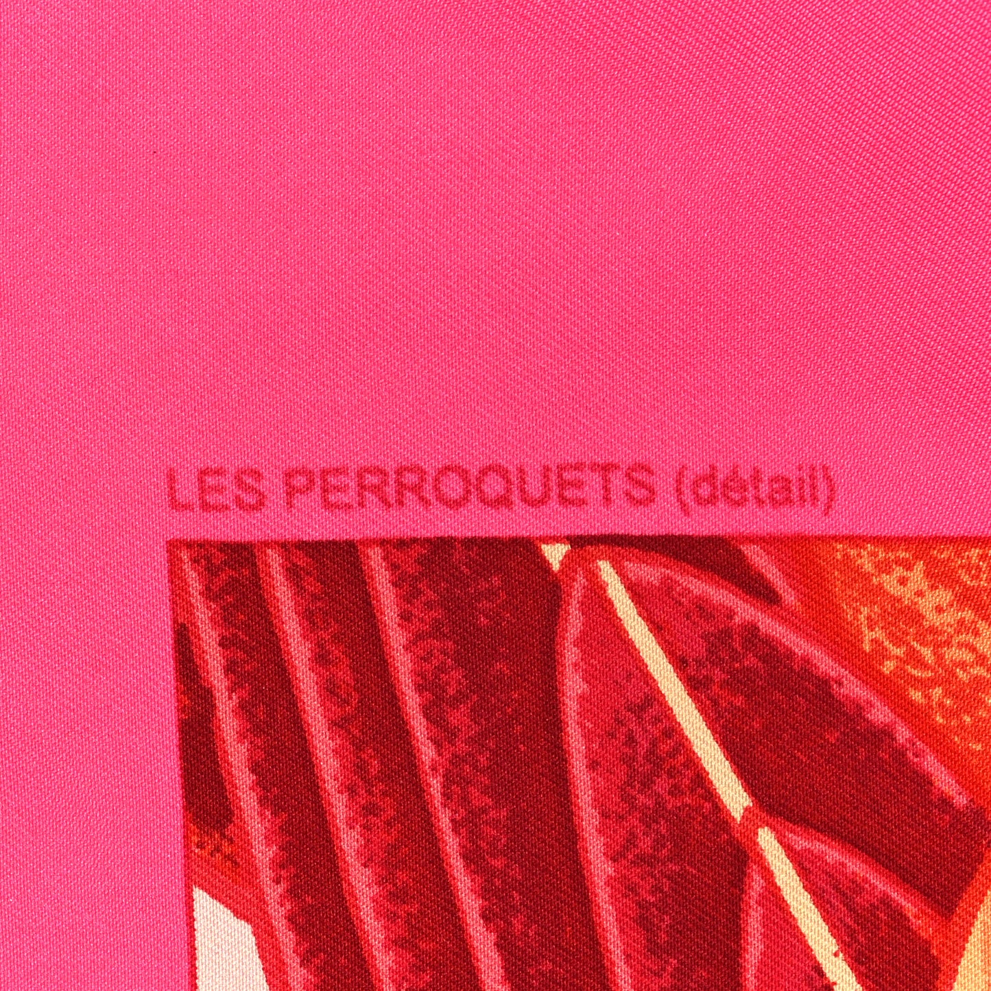 Silk Les Perroquets Scarf 90