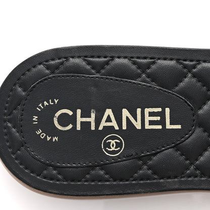 Chanel Lambskin Pearl Cord CC Mules 36 Black Beige 7 of 11