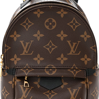 Louis Vuitton Monogram Palm Springs Backpack Mini 7 of 9