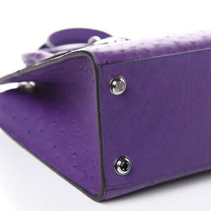 Louis Vuitton Ostrich City Steamer PM Amethyst 7 of 9