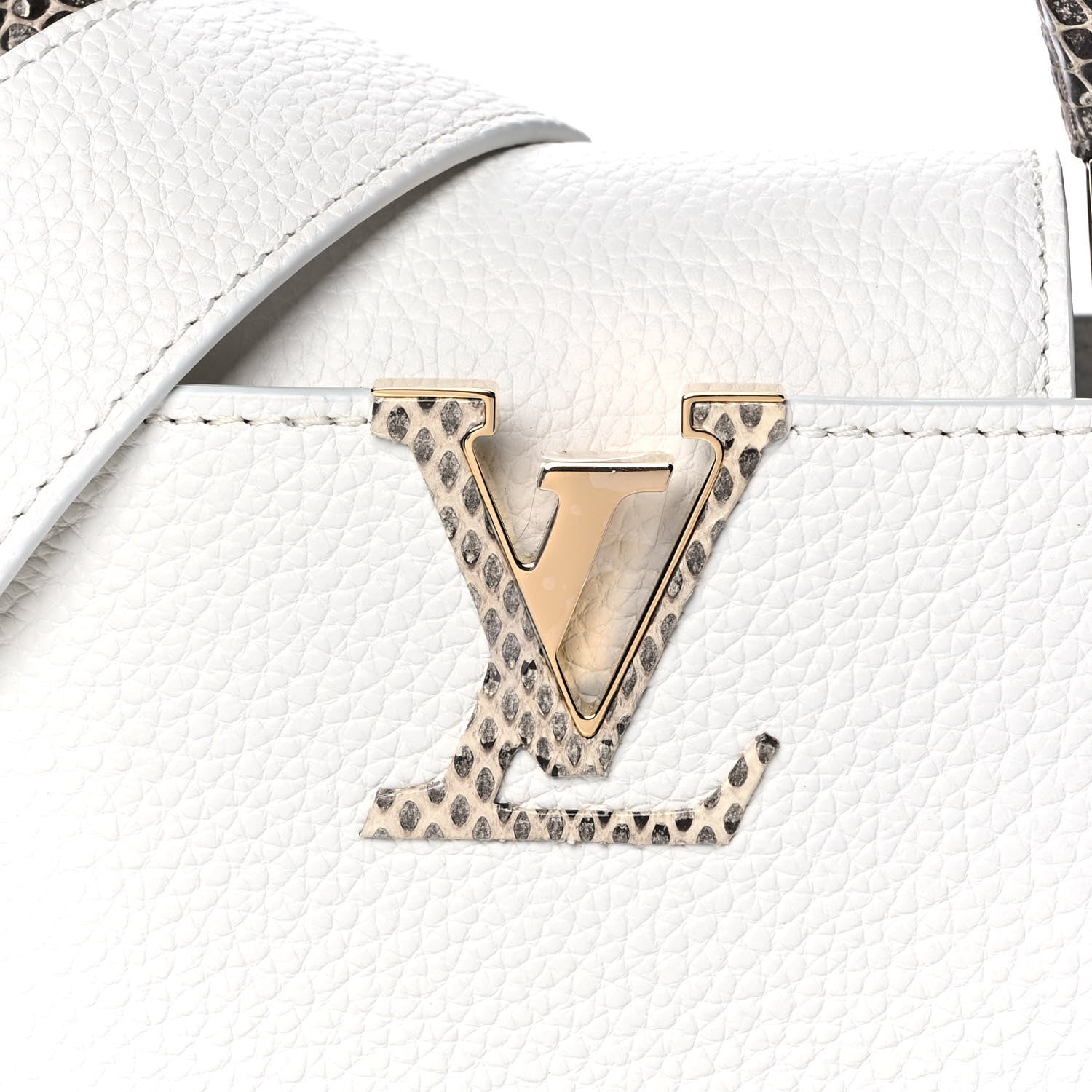 Louis Vuitton Taurillon Ayers Capucines Mini White Snow White 7 of 10