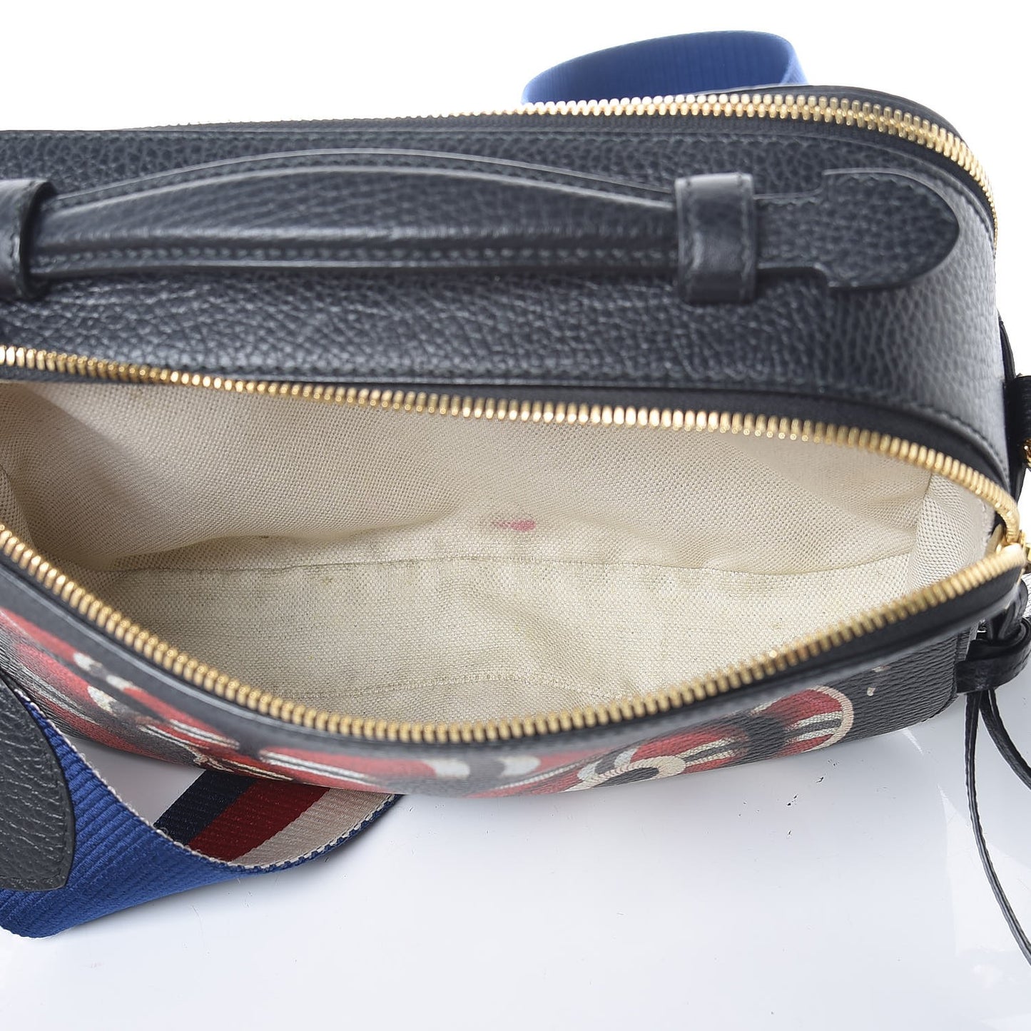 Grained Calfskin Sylvie Web Kingsnake Small Camera Bag Black Multicolor