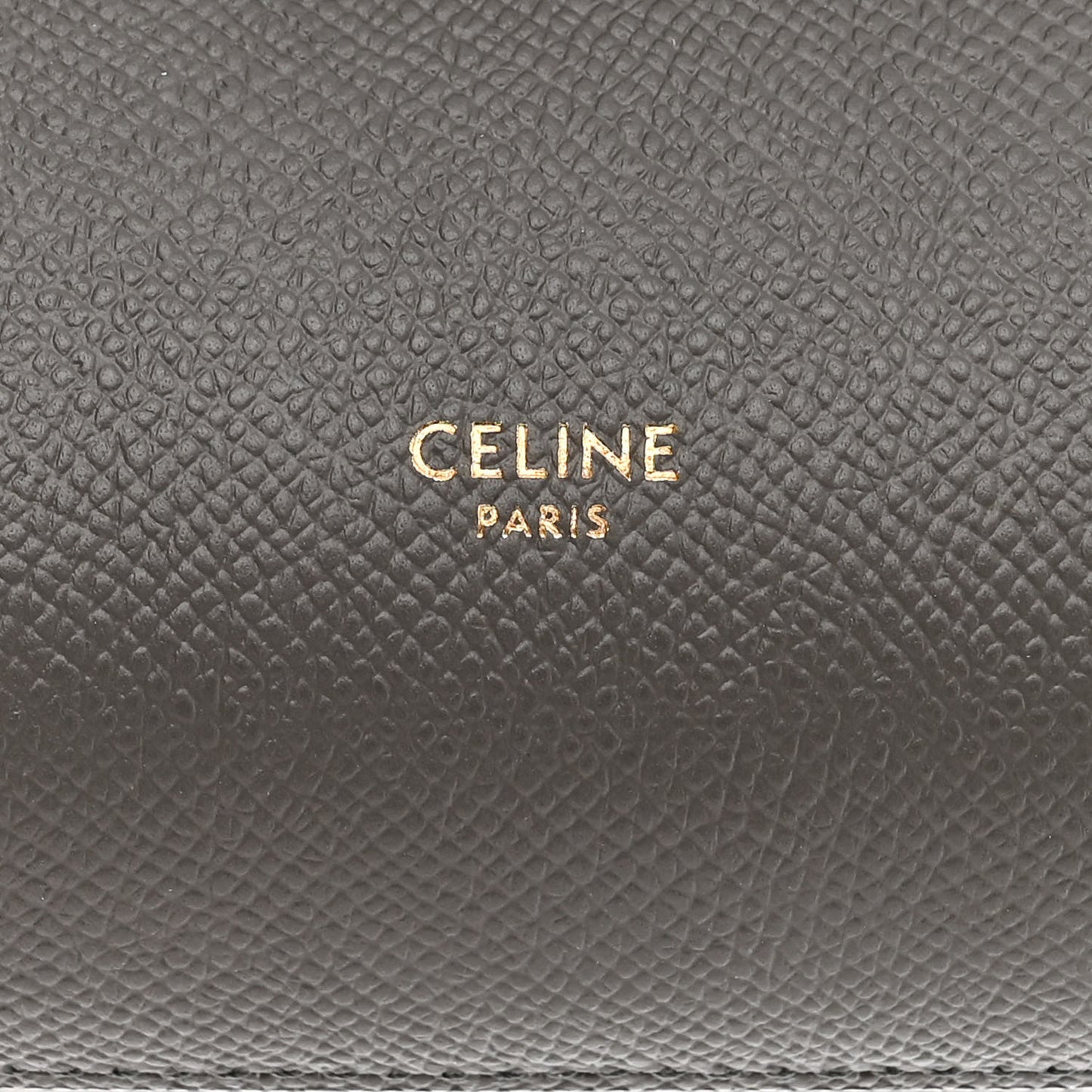Grained Calfskin Nano Belt Bag Grey