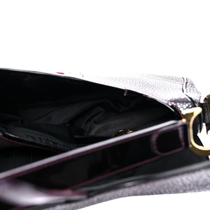 Christian Dior Calfskin Stingray Embossed Saddle Bag Red 5 of 15