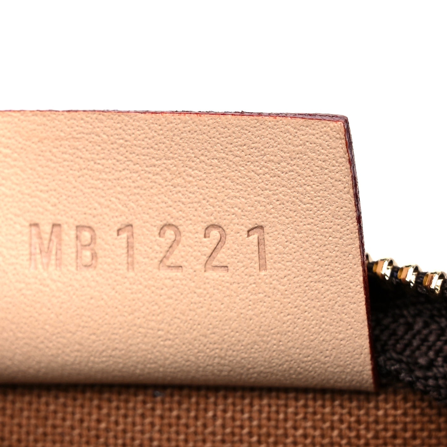 Monogram Nano Speedy