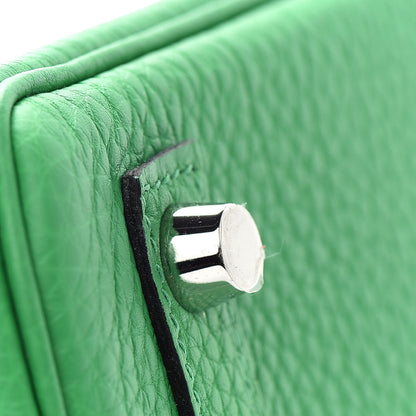 Hermes Togo Birkin 25 Bambou 10 of 38