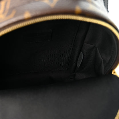 Louis Vuitton Monogram Palm Springs Backpack Mini 5 of 9
