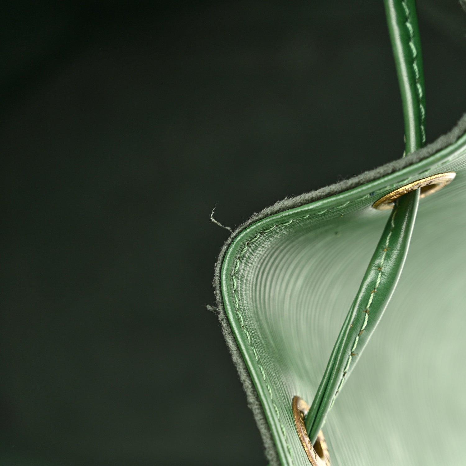 Louis Vuitton Epi Noe Borneo 10 of 13