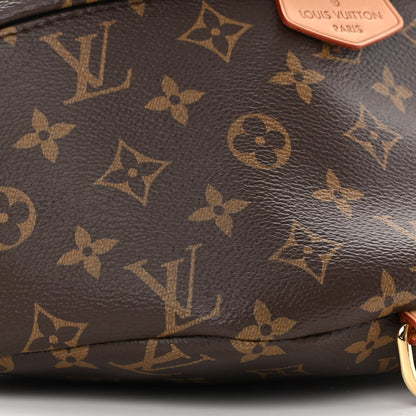 Louis Vuitton Monogram Bumbag 9 of 12