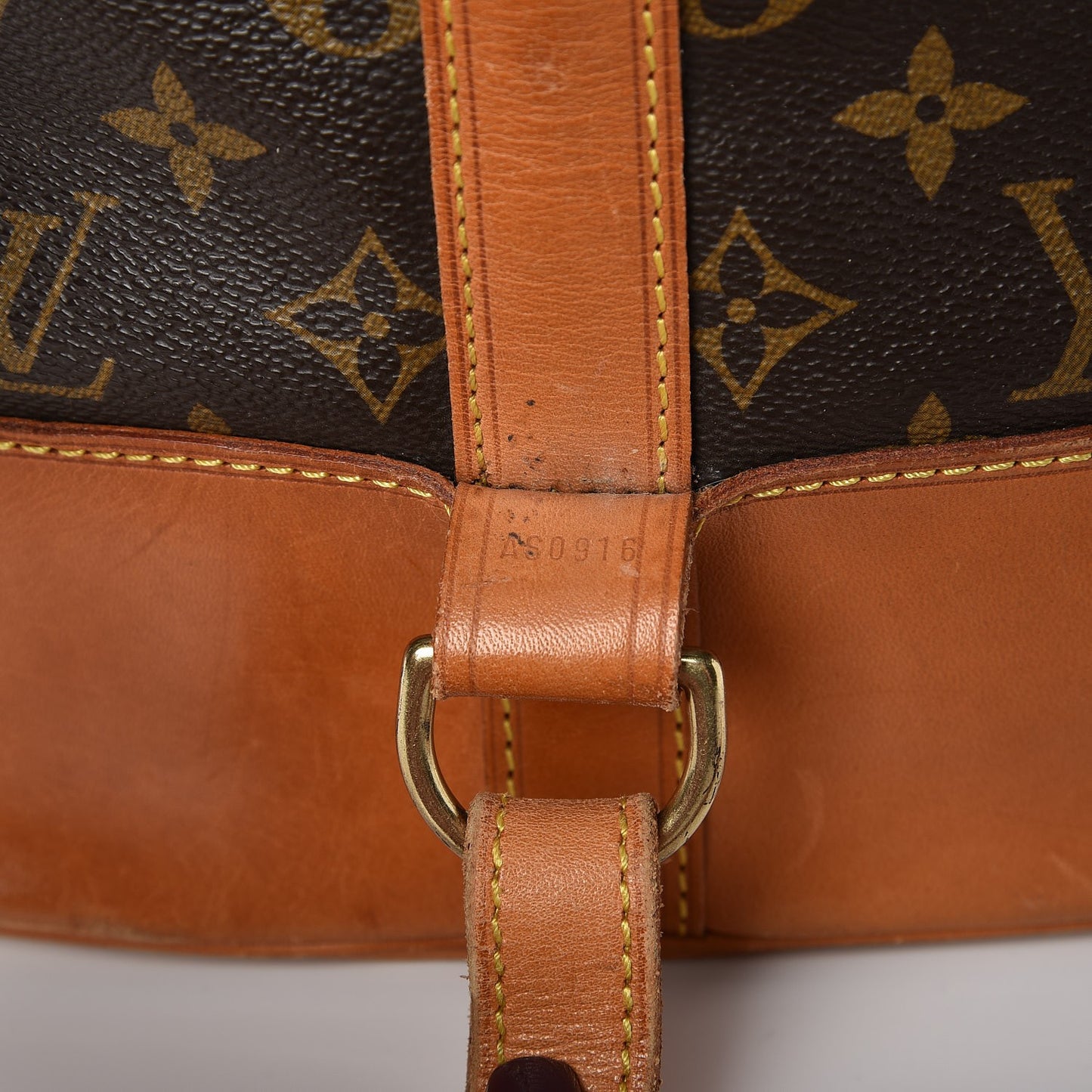 Monogram Randonnee GM Backpack