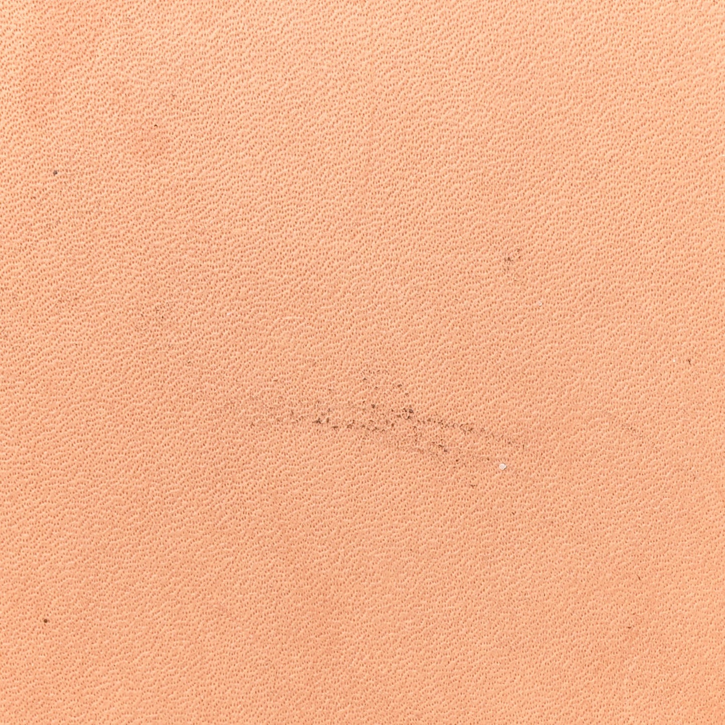 Monogram Petit Noe