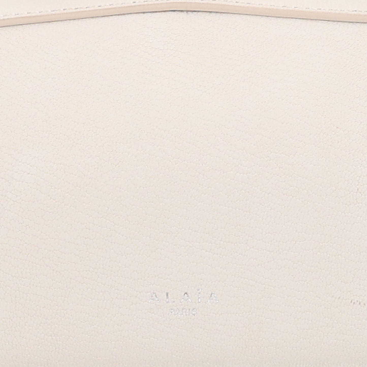 Goatskin Medium Le Teckel Bag Ivoire