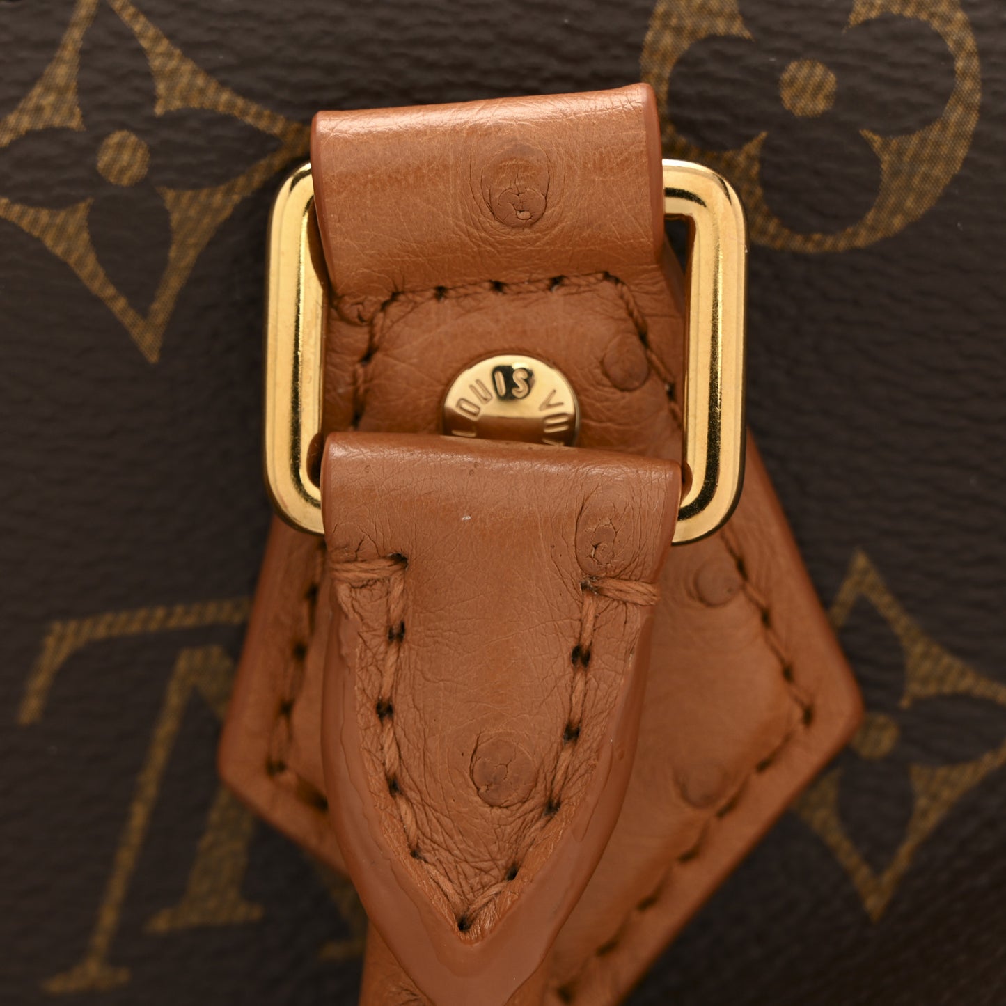 Monogram Speedy Soft 30 Boho