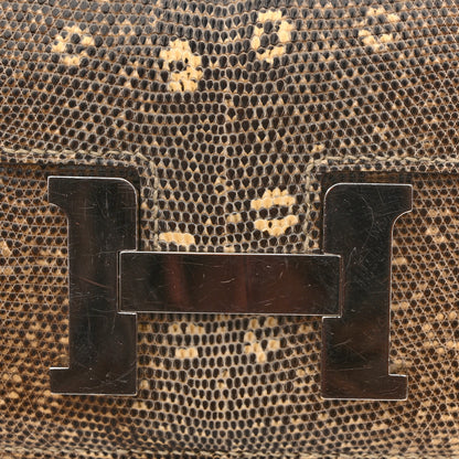 Hermes Lizard Constance 18 Ombre 14 of 15