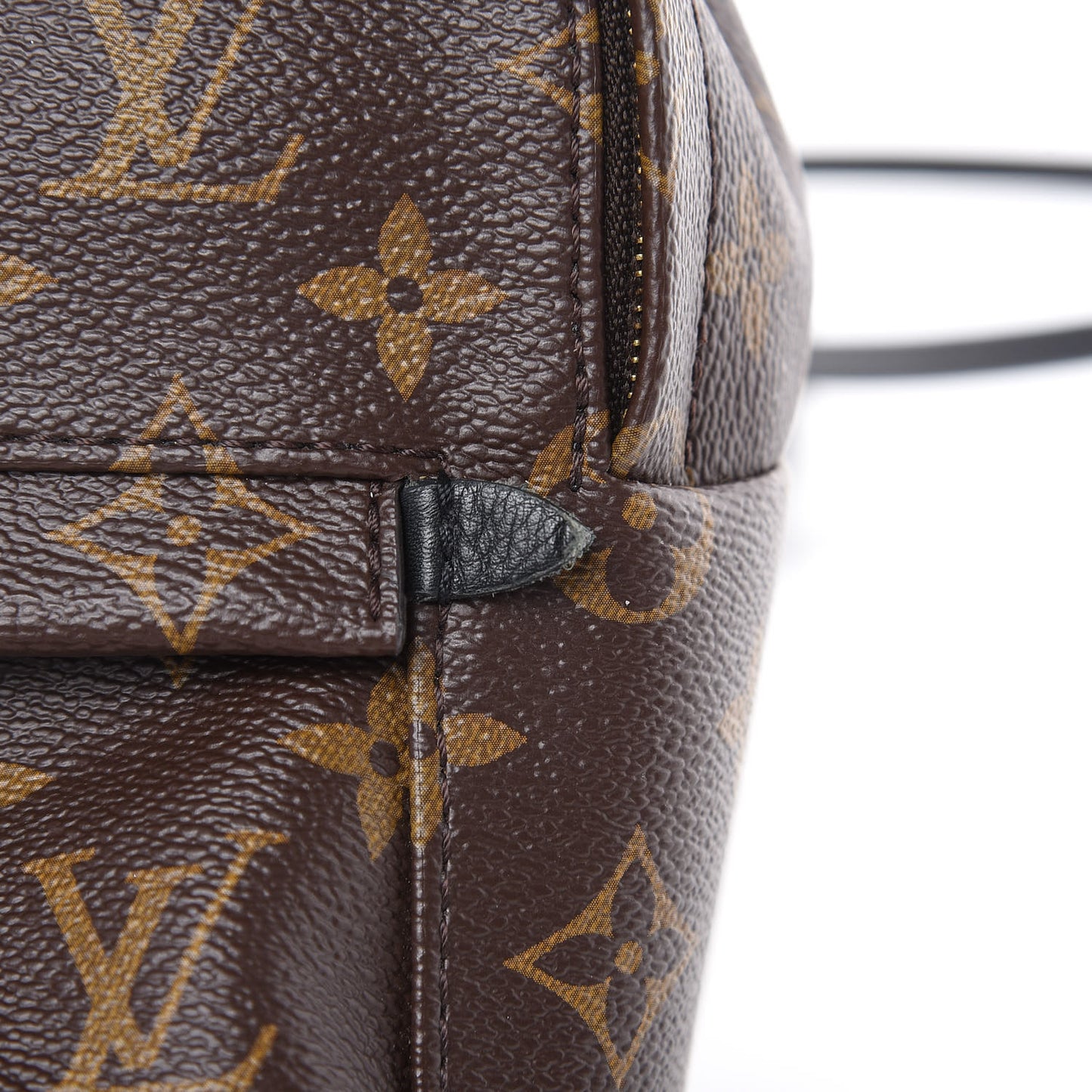 Monogram Palm Springs Backpack Mini