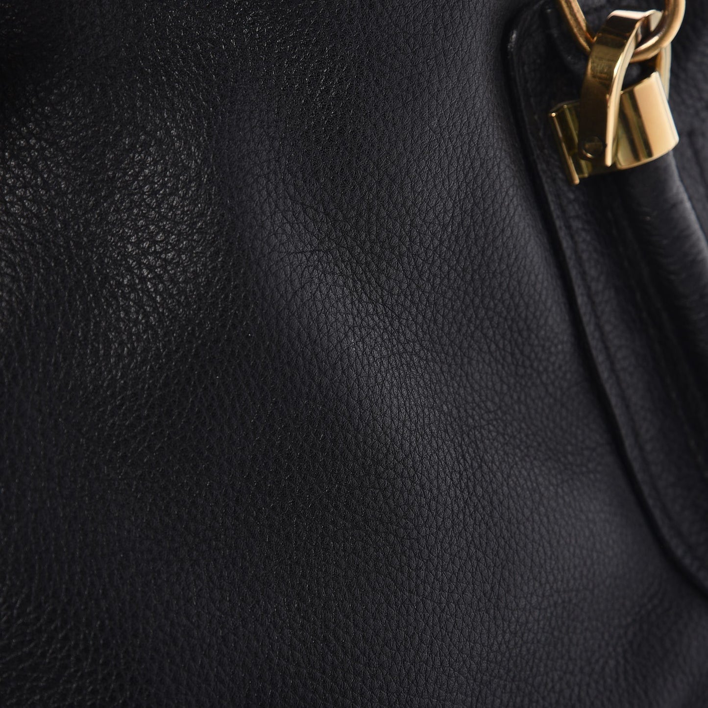 Calfskin Medium Paraty Black
