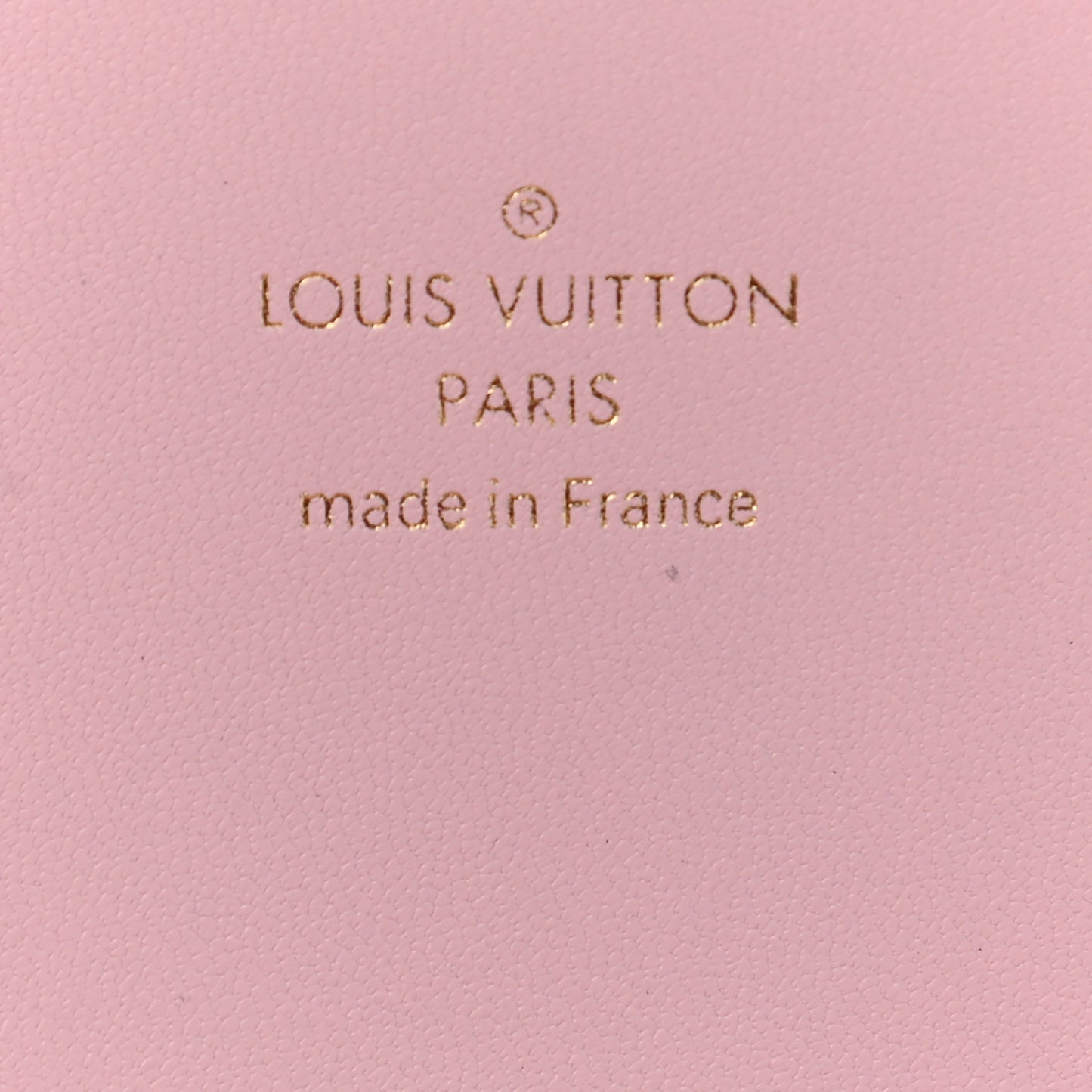 Monogram Giant By The Pool Large Kirigami Pochette Pink