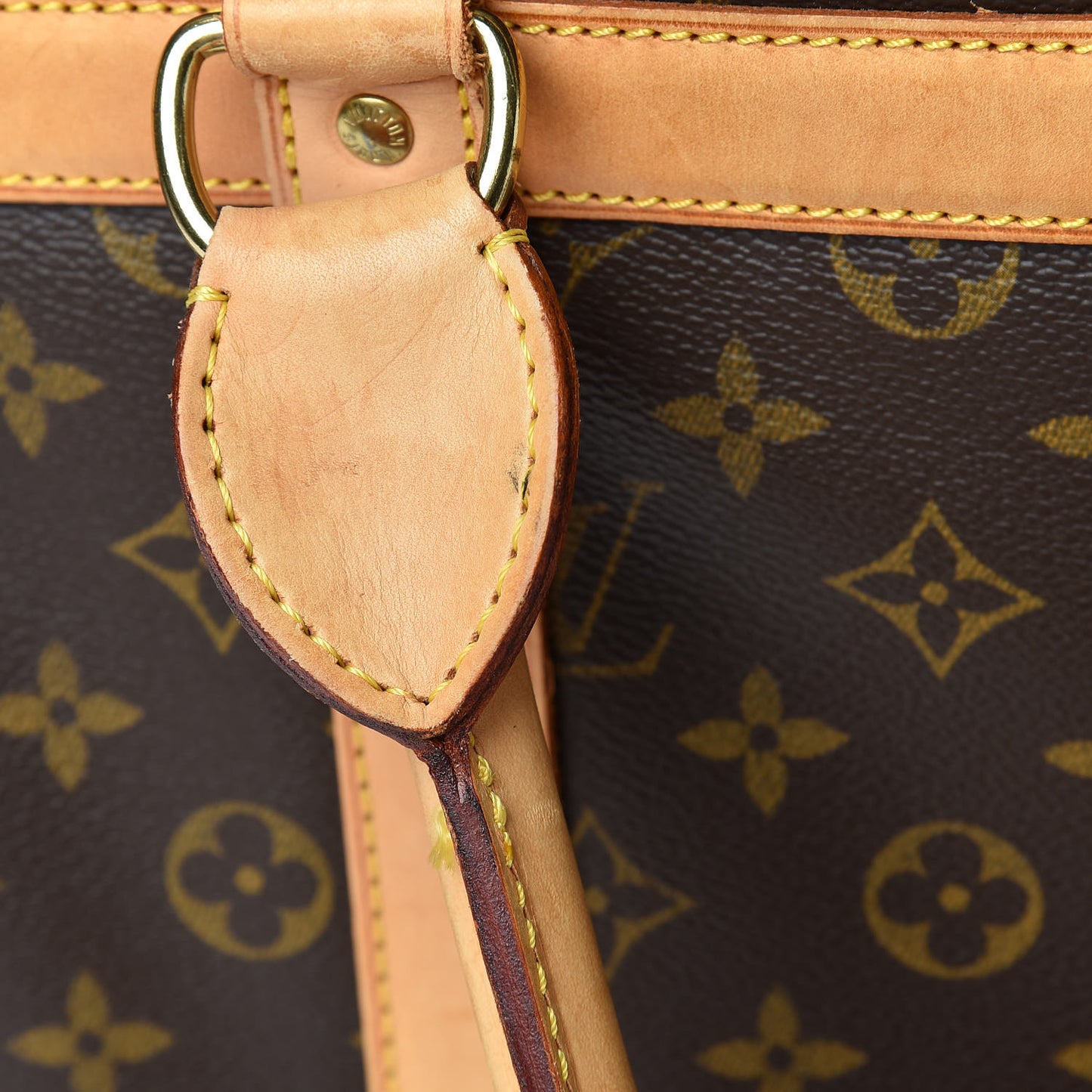 Monogram Sac Chien 40 Pet Carrier