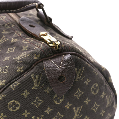 Louis Vuitton Mini Lin Speedy 30 Ebene 11 of 13