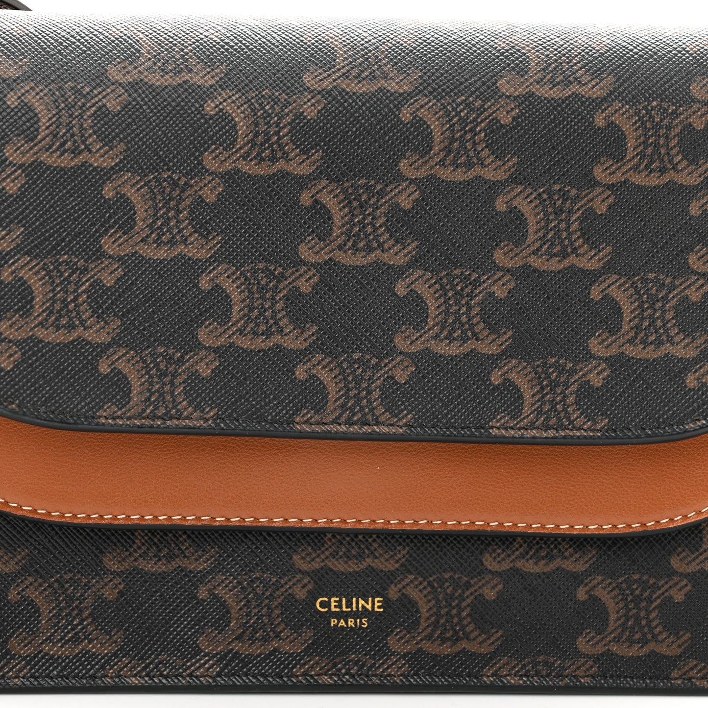 Triomphe Canvas Lambskin Wallet On Strap Tan
