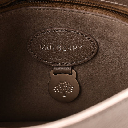 Mulberry Grained Calfskin Freya Satchel Clay 5 of 8