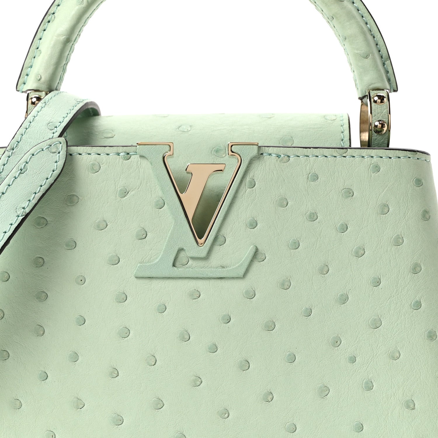 Louis Vuitton Ostrich Capucines Mini Vert Celadon 7 of 10