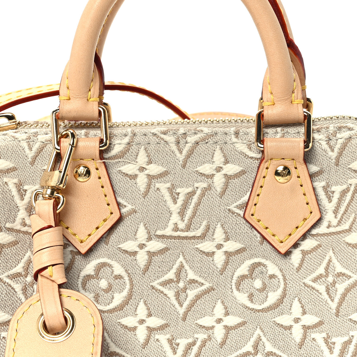 Louis Vuitton Jacquard Monogram Embleme Nano Speedy Peuplier 8 of 11