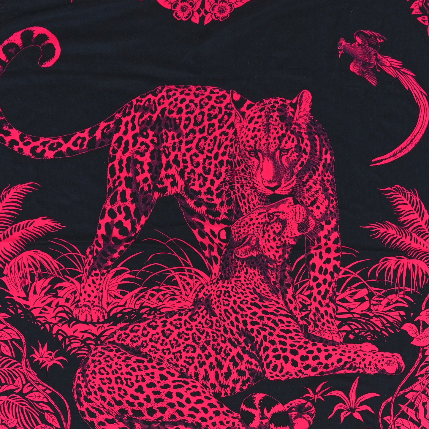 Cashmere Silk Jungle Love Tattoo Shawl 140 Bleu Noir Rose Vif