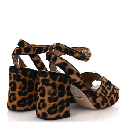 Gucci Calf Hair Leopard Print Horsebit 25/60mm Platform Sandals 38.5 Hazelnut Black 5 of 11