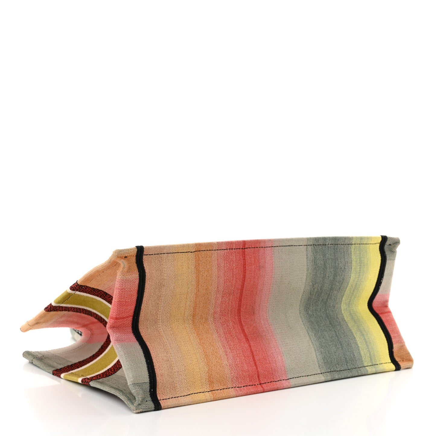 Canvas Embroidered Medium Dioraura Book Tote Multicolor