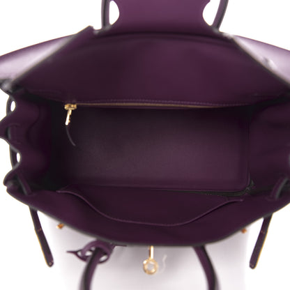 Hermes Swift Birkin 25 Anemone 4 of 9
