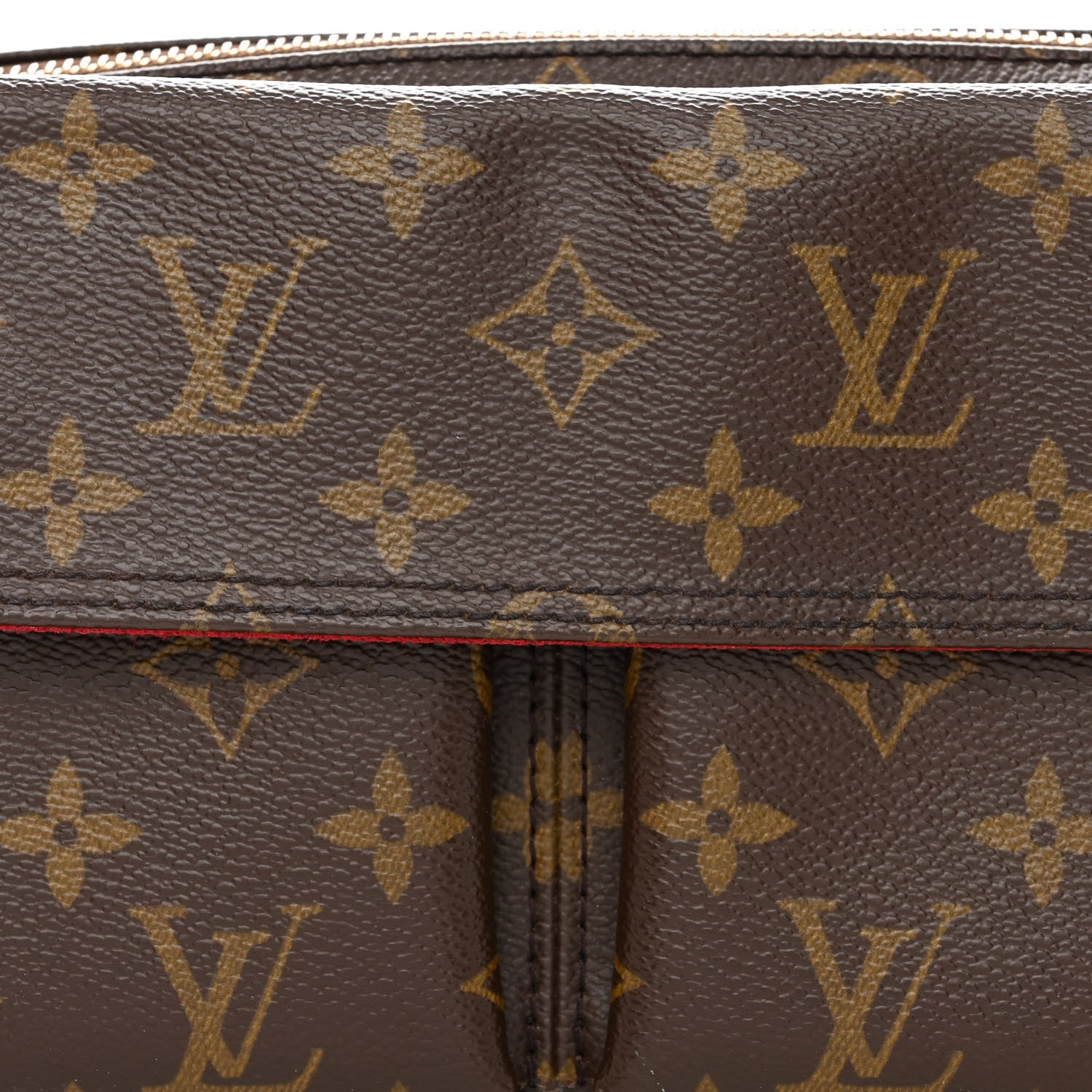 Louis Vuitton Monogram Viva-Cite MM 10 of 12