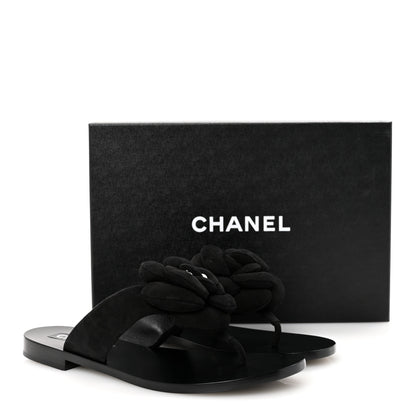 Chanel Suede Kidskin Pearl Camellia Thong Sandals 38.5 Black 10 of 10