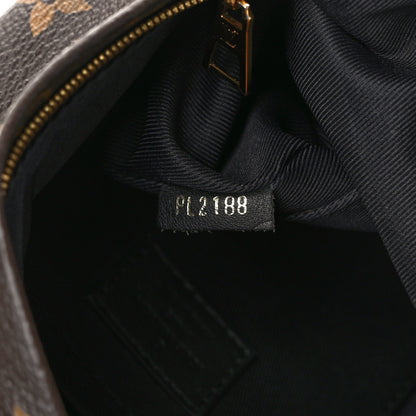 Louis Vuitton Monogram Palm Springs Backpack Mini 8 of 14
