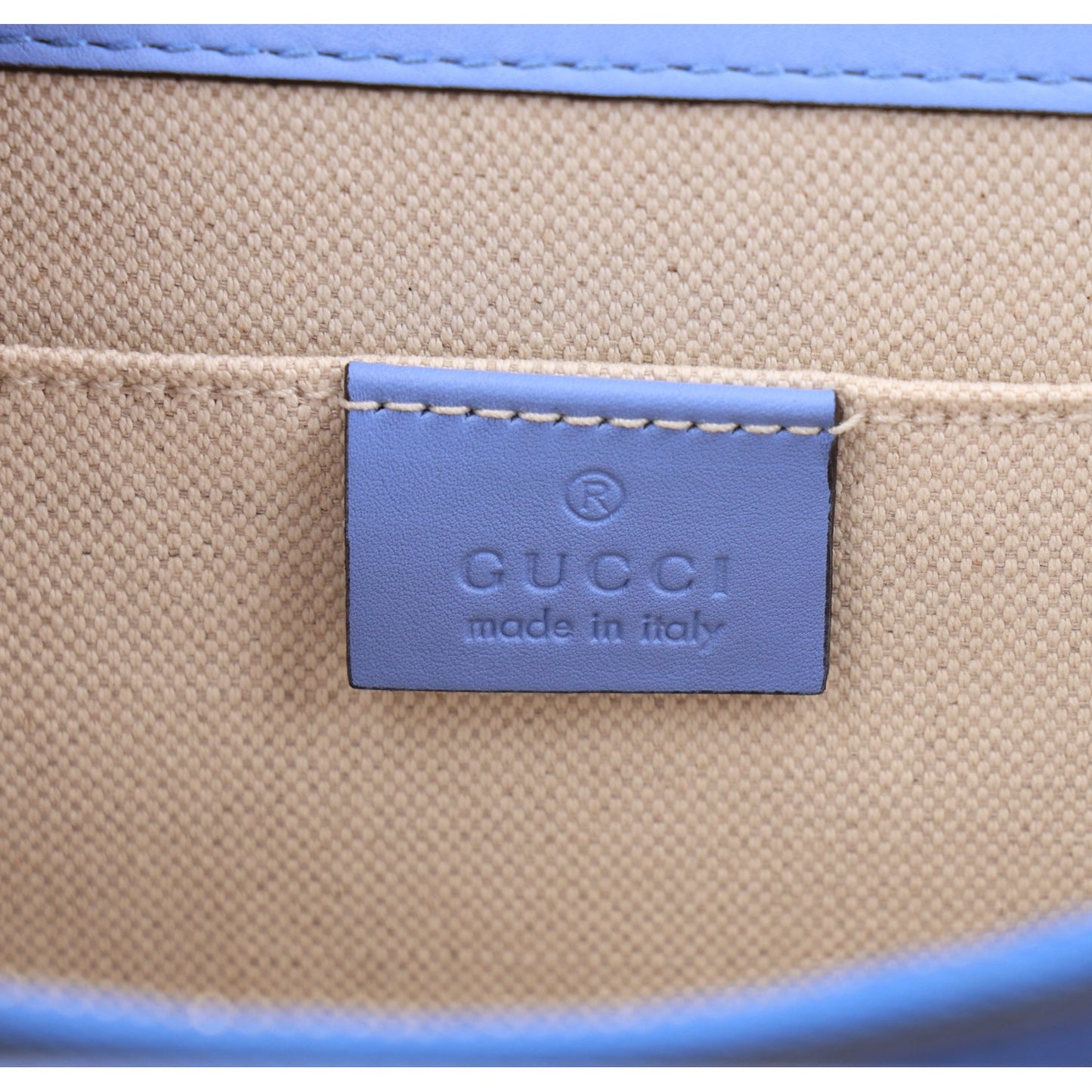 Calfskin Bamboo Web Embroidered Medium Dionysus Top Handle Bag Light Blue