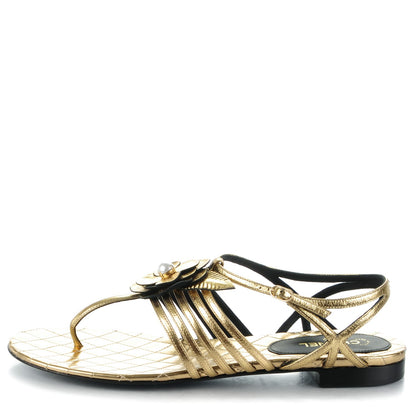 Chanel Crumpled Calfskin Camellia Pearl Thong Sandals 40 Gold 1 of 8