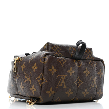 Louis Vuitton Monogram Palm Springs Backpack Mini 3 of 4
