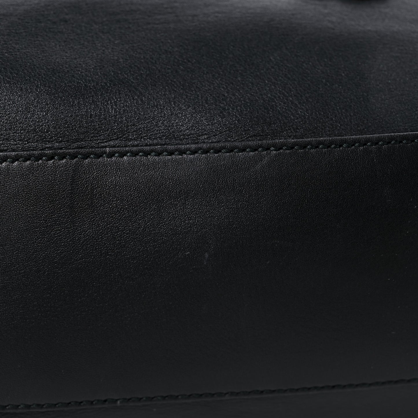 Calfskin Dog Embroidered Extra Large Dionysus Hobo Black